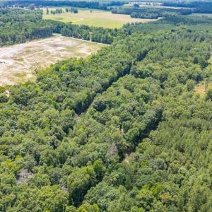 Photo #19 of 9849 Twisted Oak, Snow Camp, NC 14.0 acres