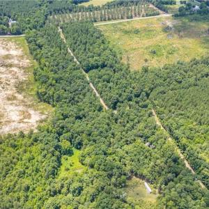 Photo #8 of 9849 Twisted Oak, Snow Camp, NC 14.0 acres