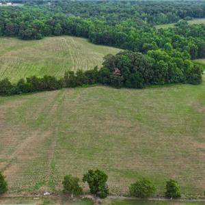 Photo #12 of 1920 NC Highway 42, Asheboro, NC 92.6 acres