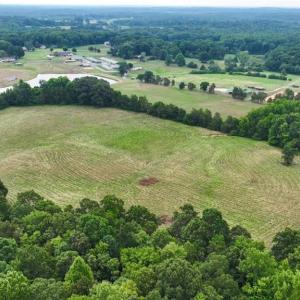 Photo #26 of 1920 NC Highway 42, Asheboro, NC 92.6 acres