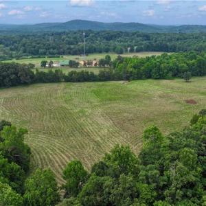 Photo #7 of 1920 NC Highway 42, Asheboro, NC 92.6 acres