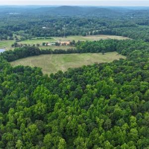 Photo #5 of 1920 NC Highway 42, Asheboro, NC 92.6 acres