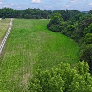 Photo #20 of 1920 NC Highway 42, Asheboro, NC 92.6 acres