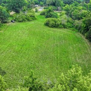 Photo #30 of 1920 NC Highway 42, Asheboro, NC 92.6 acres