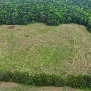 Photo #14 of 1920 NC Highway 42, Asheboro, NC 92.6 acres