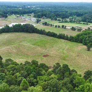 Photo #18 of 1920 NC Highway 42, Asheboro, NC 92.6 acres