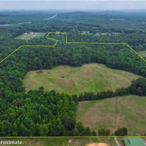 Photo #11 of 1920 NC Highway 42, Asheboro, NC 92.6 acres