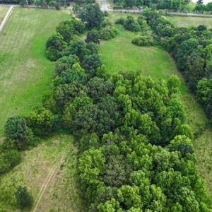 Photo #31 of 1920 NC Highway 42, Asheboro, NC 92.6 acres