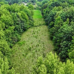 Photo #29 of 1920 NC Highway 42, Asheboro, NC 92.6 acres