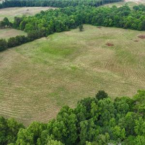 Photo #8 of 1920 NC Highway 42, Asheboro, NC 92.6 acres