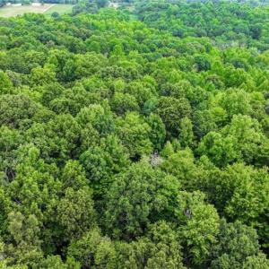 Photo #25 of 1920 NC Highway 42, Asheboro, NC 92.6 acres