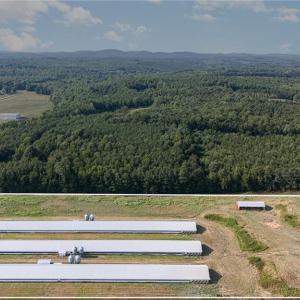 Photo #2 of Sagebrush, Denton, NC 11.9 acres