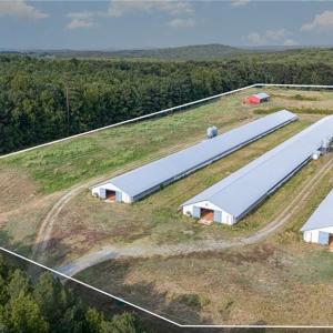 Photo #13 of Sagebrush, Denton, NC 11.9 acres