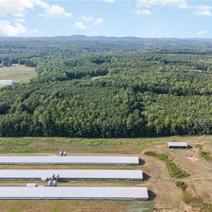 Photo #17 of Sagebrush, Denton, NC 11.9 acres