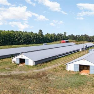 Photo #16 of Sagebrush, Denton, NC 11.9 acres