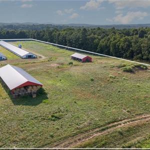 Photo #3 of Sagebrush, Denton, NC 11.9 acres