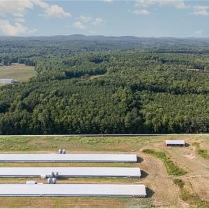 Photo #1 of Sagebrush, Denton, NC 11.9 acres