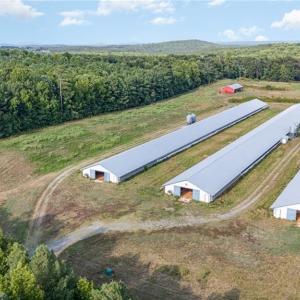 Photo #9 of Sagebrush, Denton, NC 11.9 acres