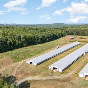 Photo #14 of Sagebrush, Denton, NC 11.9 acres