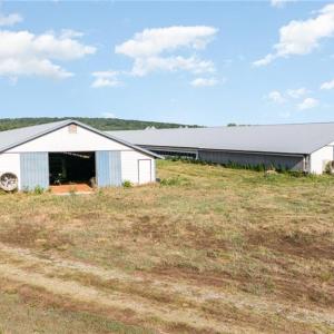 Photo #18 of Sagebrush, Denton, NC 11.9 acres