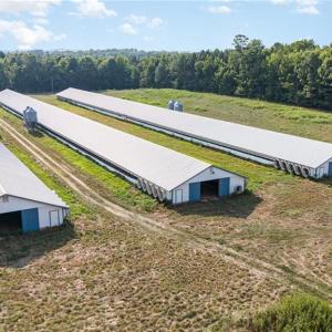 Photo #15 of Sagebrush, Denton, NC 11.9 acres