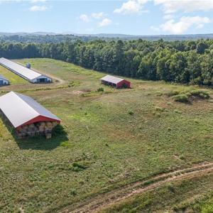 Photo #4 of Sagebrush, Denton, NC 11.9 acres