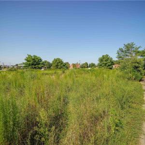 Photo #2 of 7712 NC Highway 68, Stokesdale, NC 31.0 acres