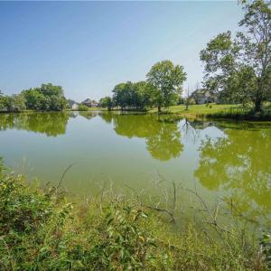 Photo #3 of 7712 NC Highway 68, Stokesdale, NC 31.0 acres
