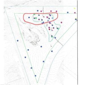 Photo #3 of 9417 Pumpkin Ridge, Kernersville, NC 5.2 acres