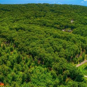 Photo #6 of 1228 Healing Springs, Denton, NC 1.6 acres