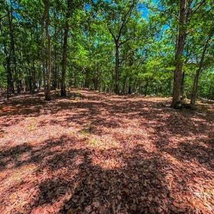 Photo #13 of 1228 Healing Springs, Denton, NC 1.6 acres