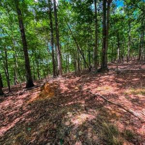 Photo #16 of 1228 Healing Springs, Denton, NC 1.6 acres