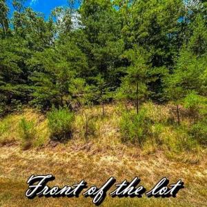 Photo #7 of 1228 Healing Springs, Denton, NC 1.6 acres