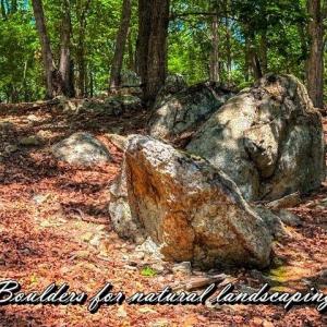 Photo #9 of 1228 Healing Springs, Denton, NC 1.6 acres
