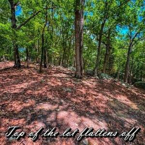 Photo #10 of 1228 Healing Springs, Denton, NC 1.6 acres