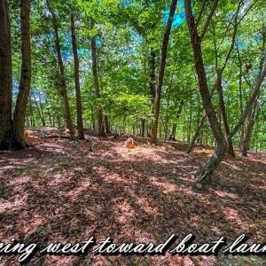 Photo #14 of 1228 Healing Springs, Denton, NC 1.6 acres