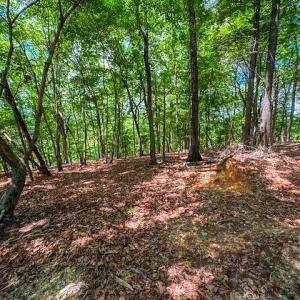 Photo #15 of 1228 Healing Springs, Denton, NC 1.6 acres