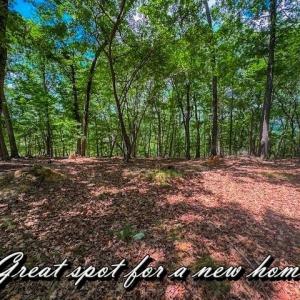 Photo #11 of 1228 Healing Springs, Denton, NC 1.6 acres