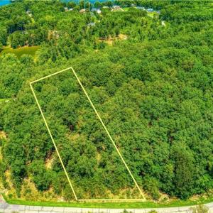 Photo #4 of 1228 Healing Springs, Denton, NC 1.6 acres
