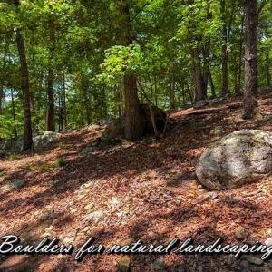 Photo #8 of 1228 Healing Springs, Denton, NC 1.6 acres
