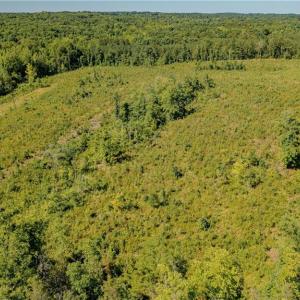 Photo #2 of Fitch, Yanceyville, NC 72.1 acres