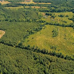 Photo #6 of Fitch, Yanceyville, NC 72.1 acres