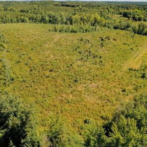 Photo #7 of Fitch, Yanceyville, NC 72.1 acres