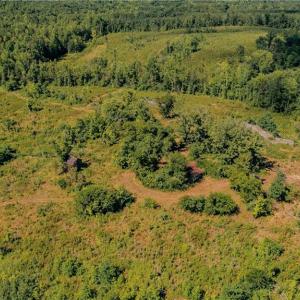 Photo #3 of Fitch, Yanceyville, NC 72.1 acres