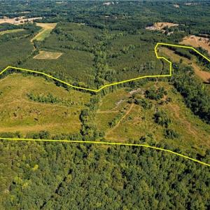 Photo #1 of Fitch, Yanceyville, NC 72.1 acres