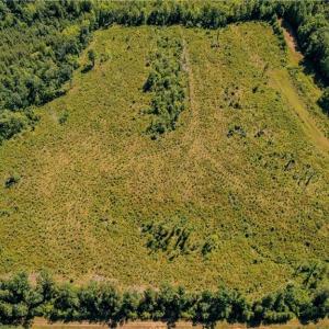Photo #5 of Fitch, Yanceyville, NC 72.1 acres
