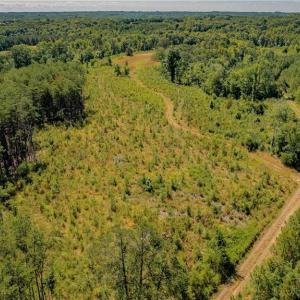 Photo #9 of Fitch, Yanceyville, NC 72.1 acres
