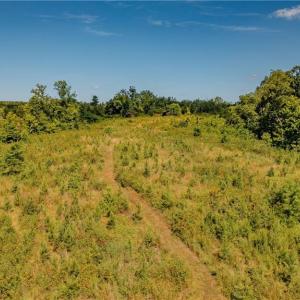 Photo #10 of Fitch, Yanceyville, NC 72.1 acres