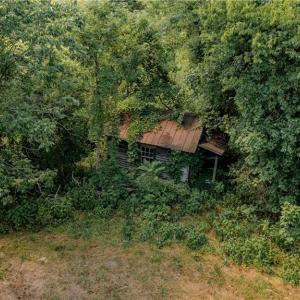Photo #14 of Fitch, Yanceyville, NC 72.1 acres