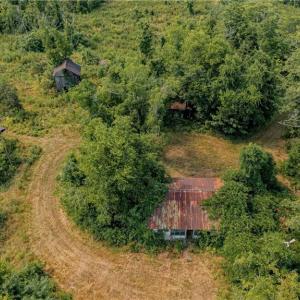 Photo #15 of Fitch, Yanceyville, NC 72.1 acres